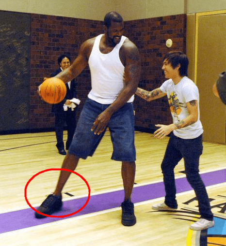 巴萨vs马竞：莱万PK阿尔瓦雷斯；佩德里、赫拉德-马丁首发（巴萨战马竞：莱万对决阿尔瓦雷斯，佩德里与赫拉德-马丁先发）